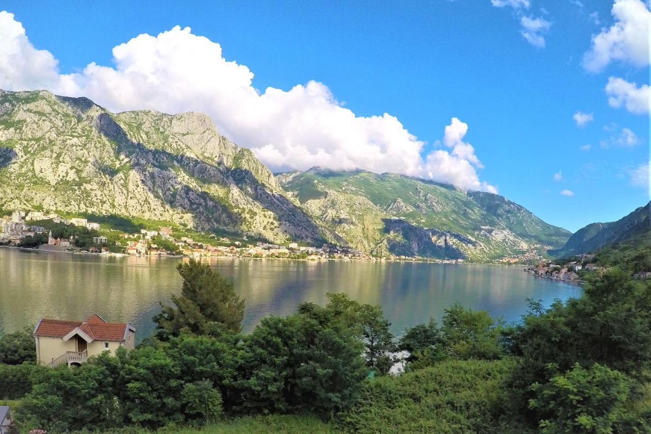 Hotel Galia Kotor Eksteriør bilde
