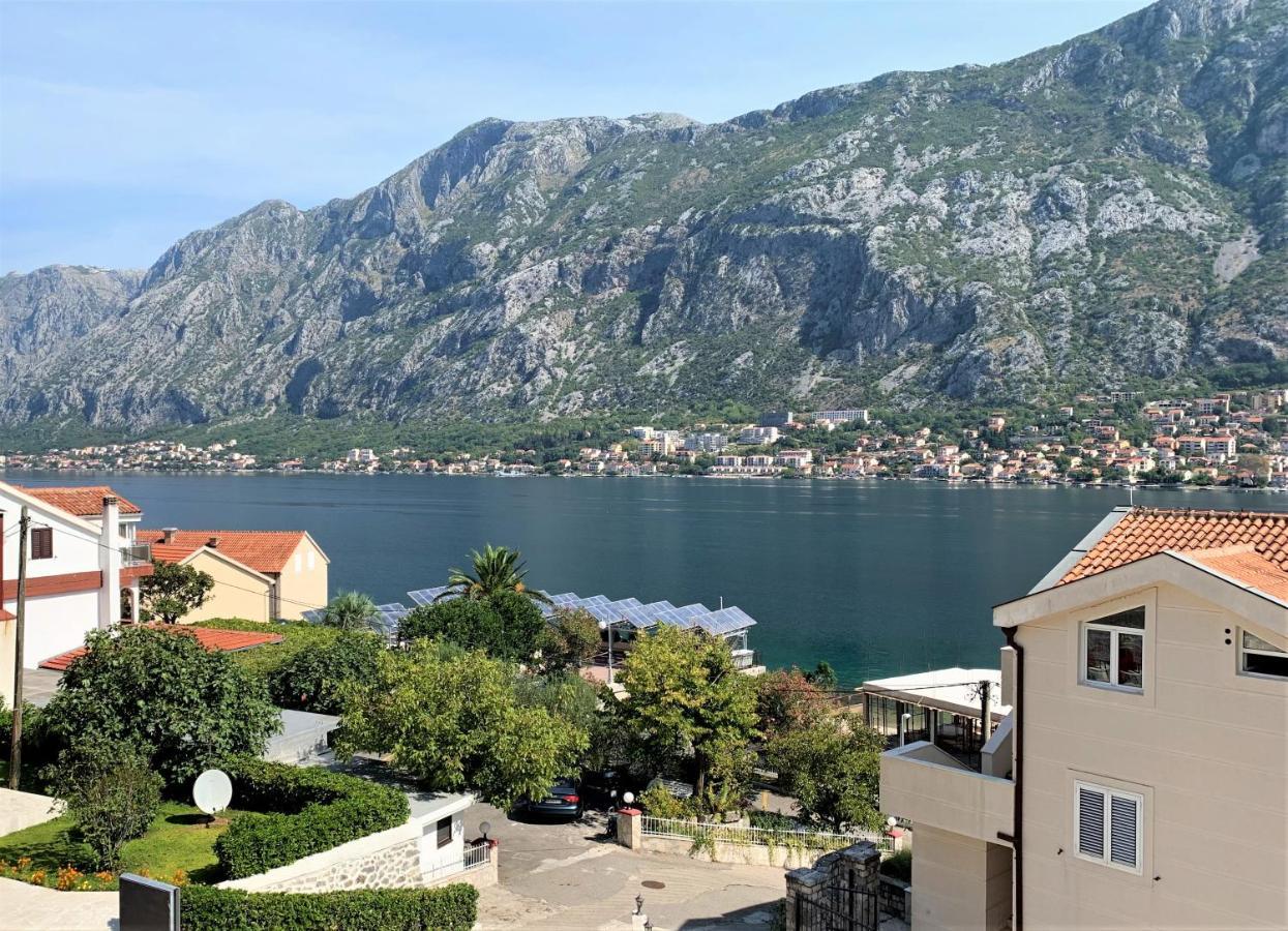 Hotel Galia Kotor Eksteriør bilde